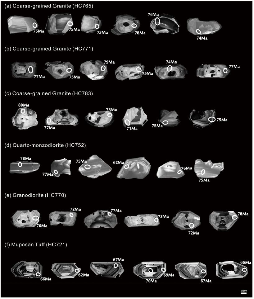 Fig. 2. Fig. 2.