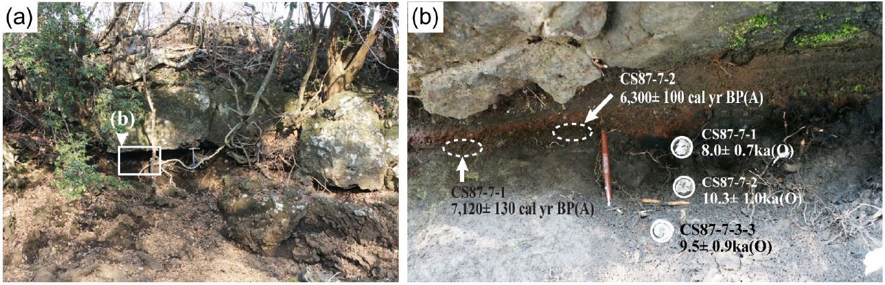 Fig. 3. Fig. 3.