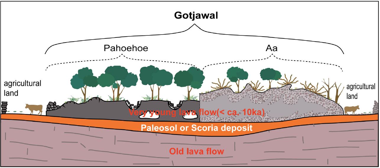 Fig. 6. Fig. 6.