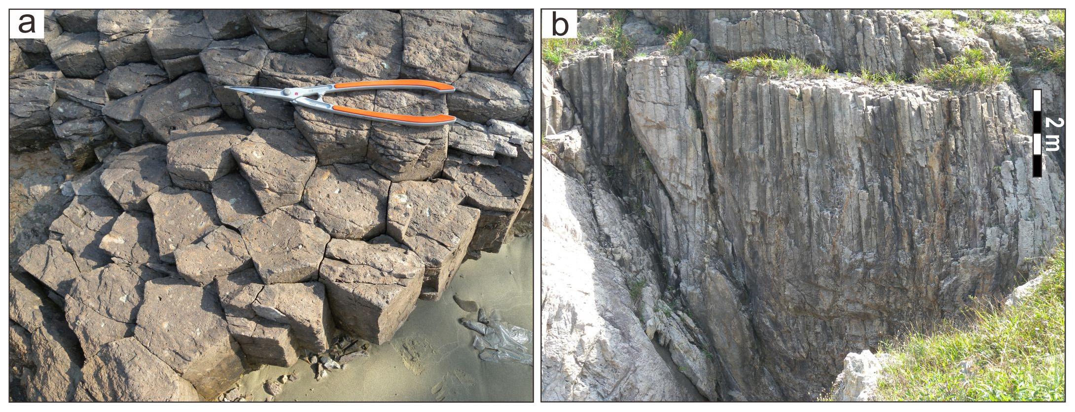 Fig. 7. Fig. 7.