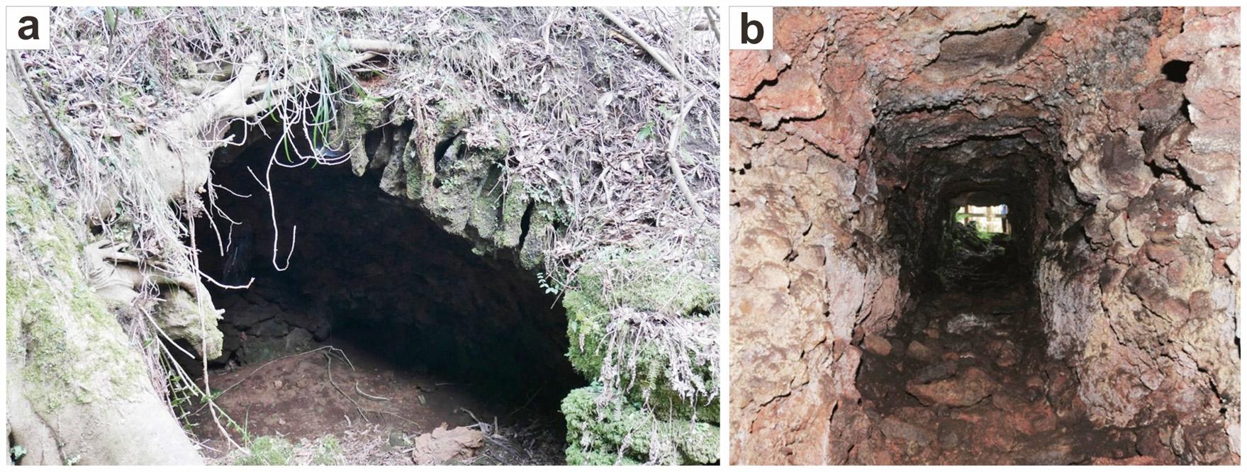 Fig. 6.
