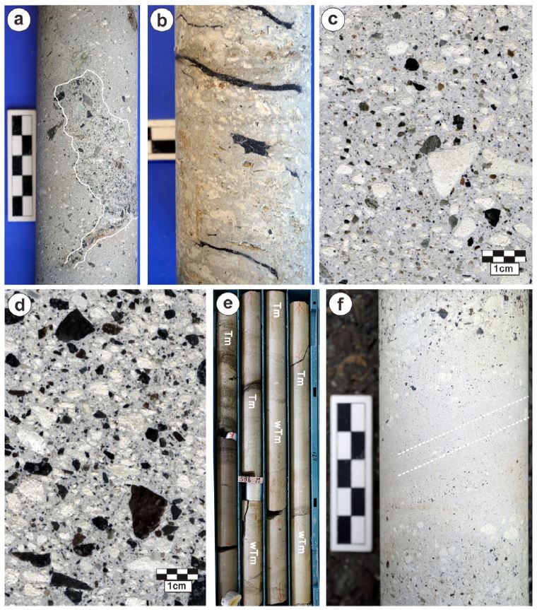 Fig. 7.