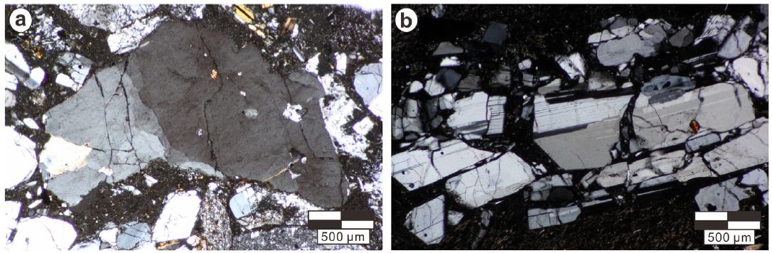 Fig. 9.