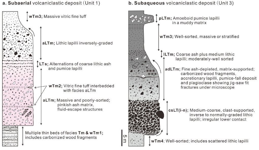 Fig. 12.