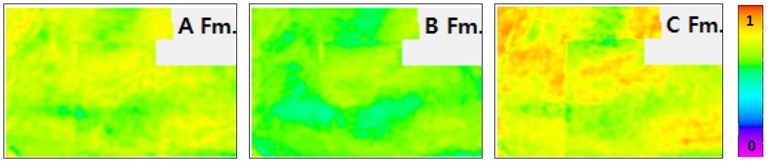 Fig. 11. Fig. 11.