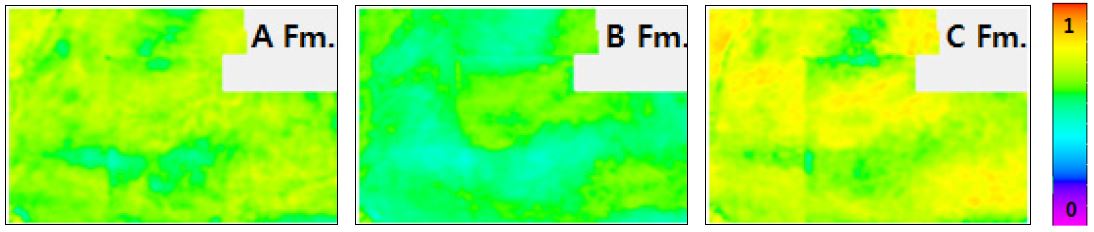 Fig. 12.