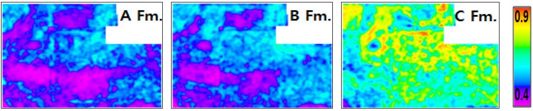 Fig. 16. Fig. 16.