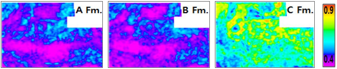 Fig. 17. Fig. 17.
