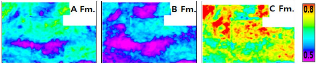 Fig. 19. Fig. 19.