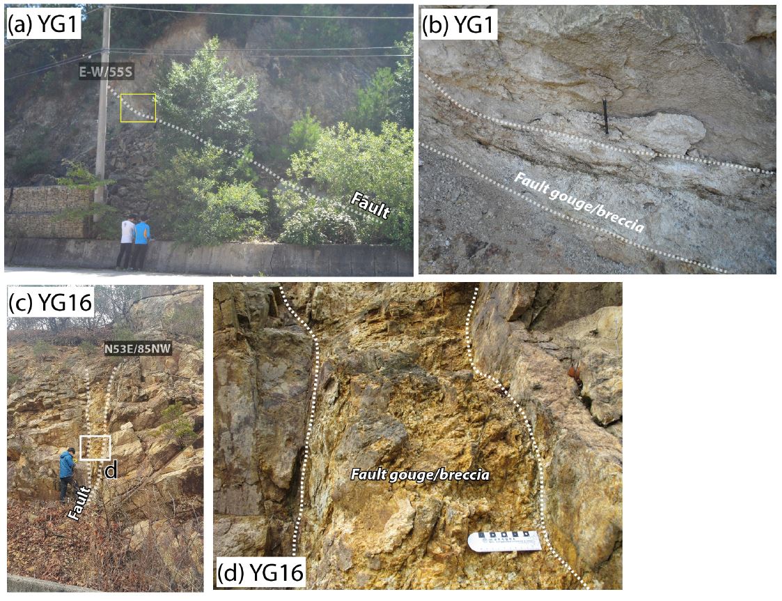 Fig. 2. Fig. 2.