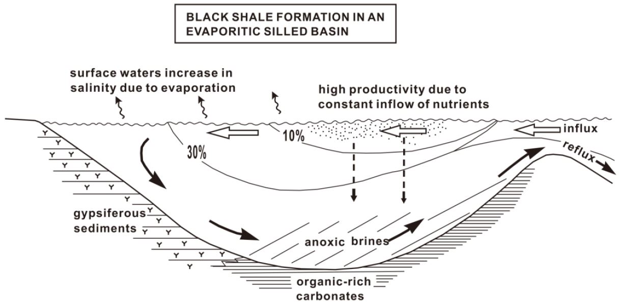 Fig. 3. Fig. 3.