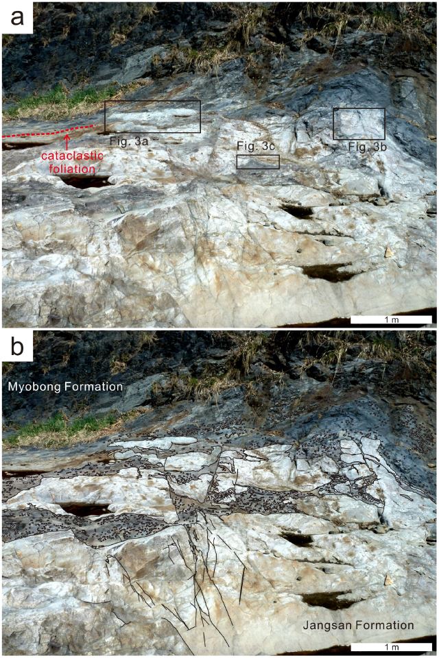 Fig. 2. Fig. 2.