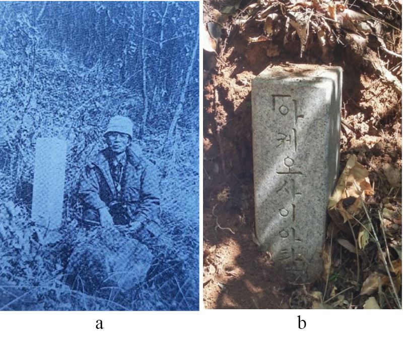 Fig. 5. Fig. 5.