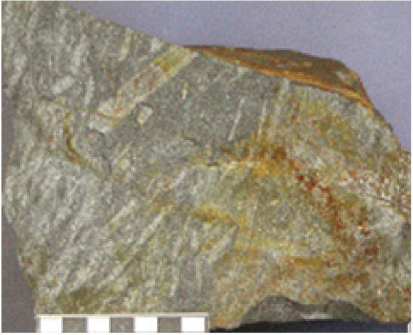 Fig. 8.
