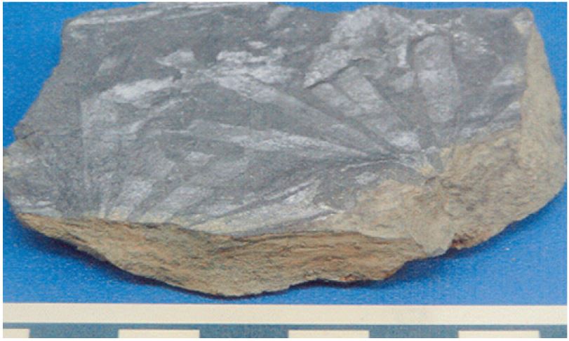 Fig. 9.