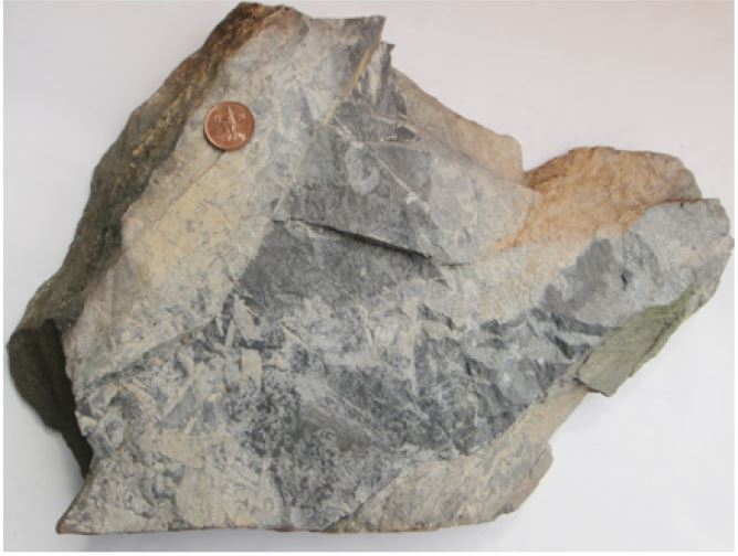 Fig. 14.