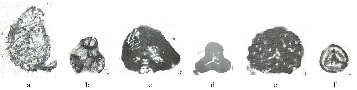 Fig. 19. Fig. 19.