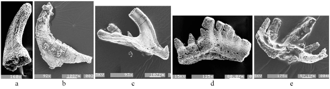 Fig. 21. Fig. 21.