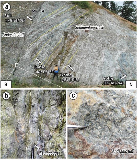 Fig. 6.