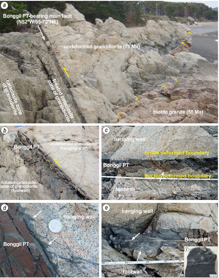 Fig. 3. Fig. 3.
