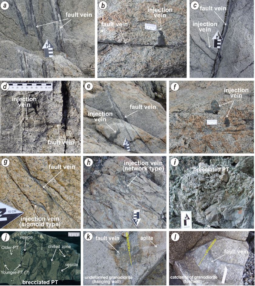 Fig. 4. Fig. 4.
