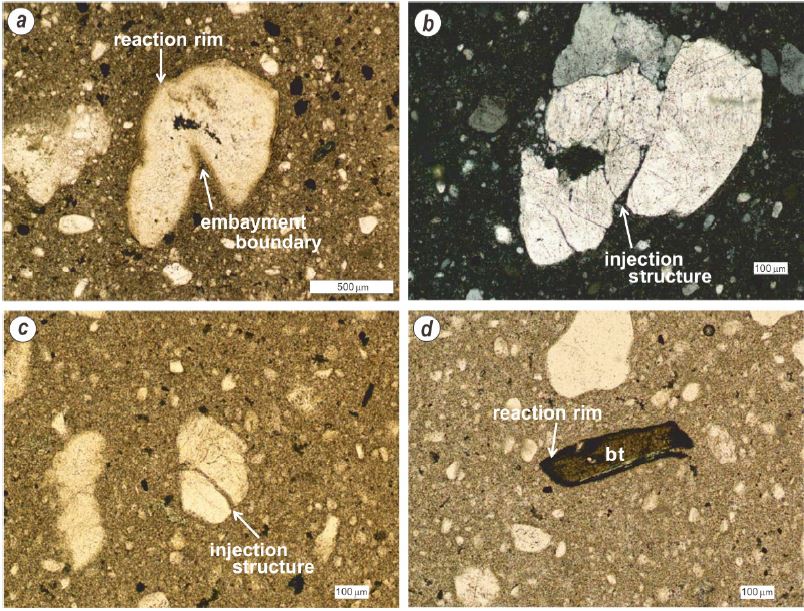 Fig. 7. Fig. 7.