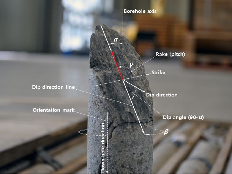 Fig. 3. Fig. 3.