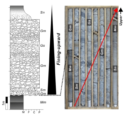 Fig. 3. Fig. 3.