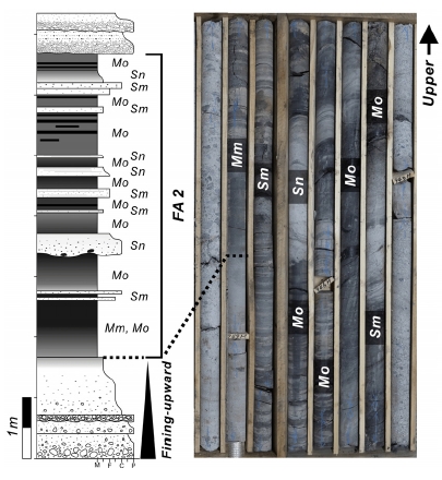 Fig. 4. Fig. 4.