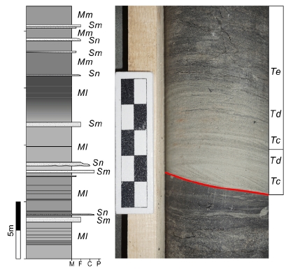 Fig. 7. Fig. 7.