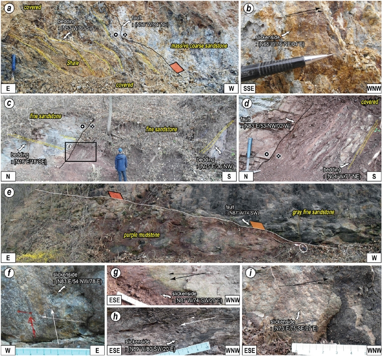 Fig. 2. Fig. 2.