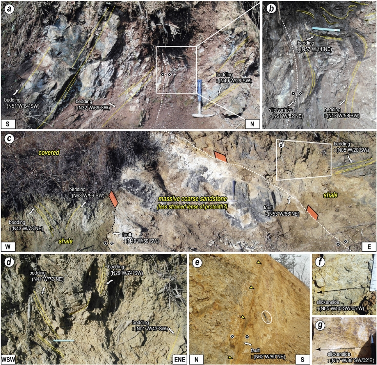 Fig. 4. Fig. 4.