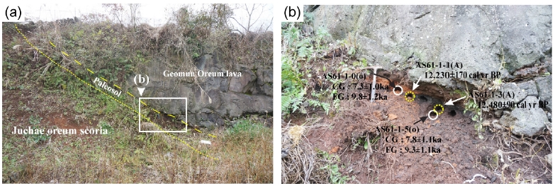 Fig. 3. Fig. 3.