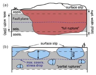 Fig. 1. Fig. 1.