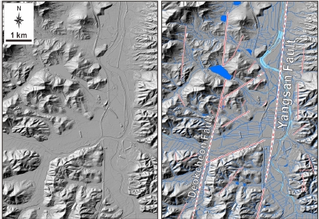 Fig. 3. Fig. 3.