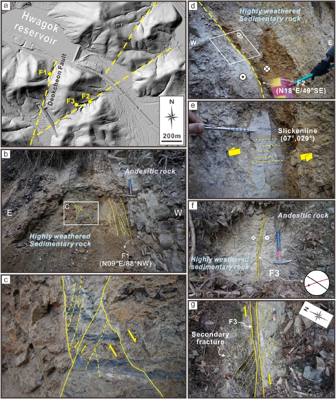 Fig. 6. Fig. 6.