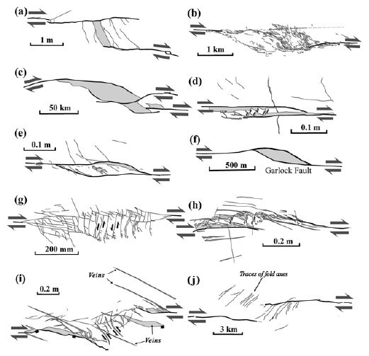Fig. 10. Fig. 10.