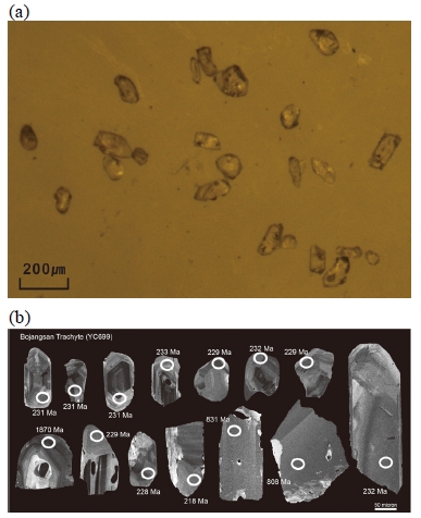 Fig. 3. Fig. 3.