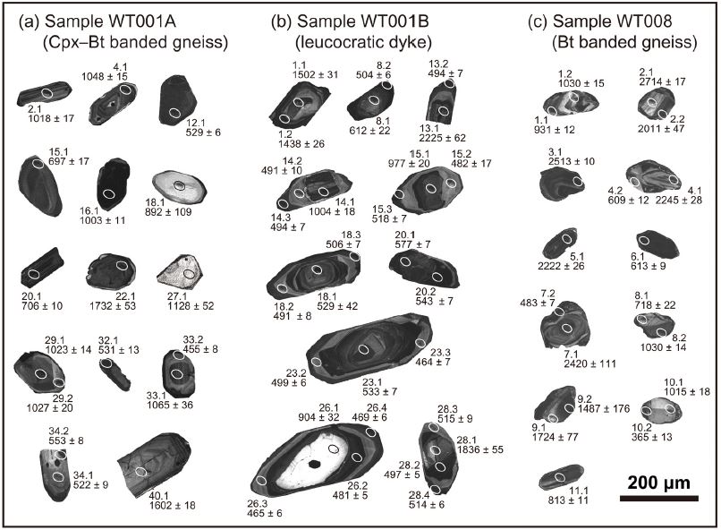 Fig. 4. Fig. 4.