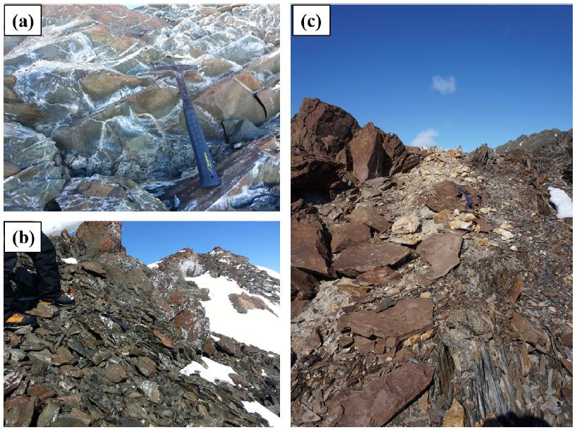 Fig. 4. Fig. 4.