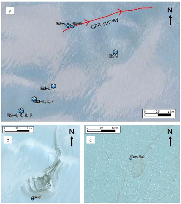 Fig. 3. Fig. 3.