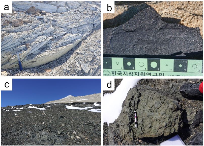 Fig. 6. Fig. 6.