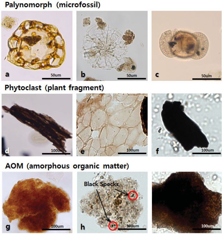 Fig. 2. Fig. 2.