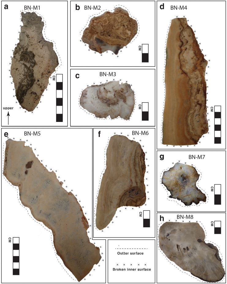 Fig. 2. Fig. 2.