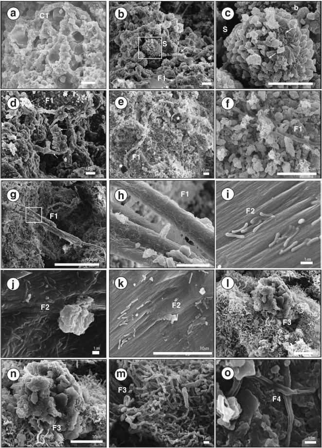 Fig. 5. Fig. 5.