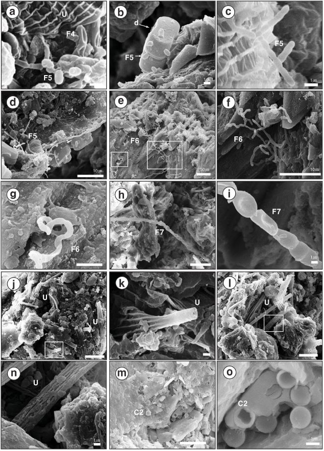 Fig. 6. Fig. 6.