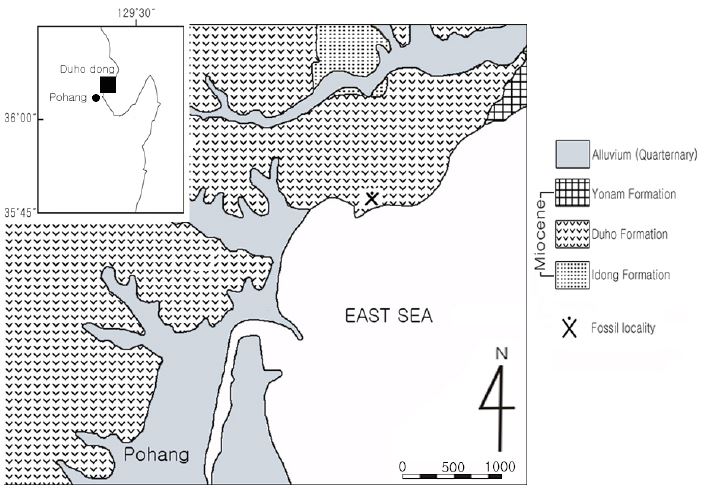 Fig. 1. Fig. 1.
