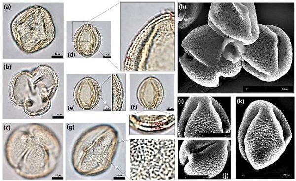 Fig. 4. Fig. 4.