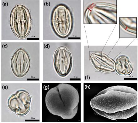 Fig. 6. Fig. 6.