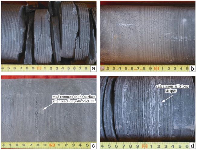 Fig. 7. Fig. 7.